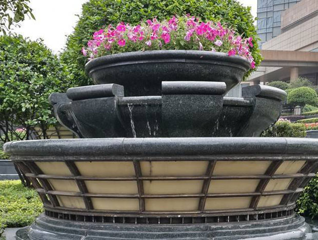 細(xì)花萬年青水池裝飾實(shí)拍圖