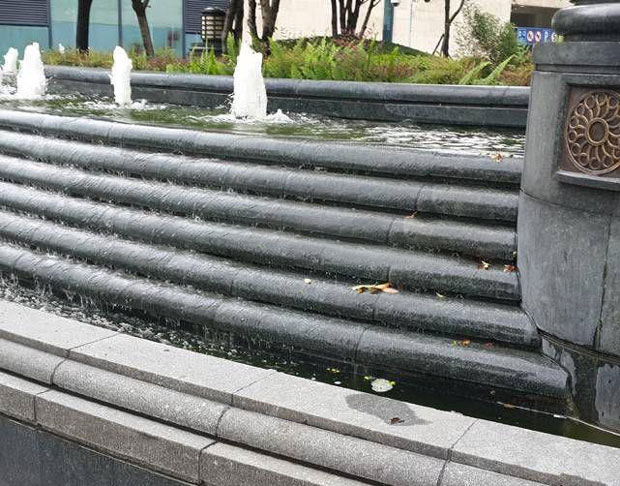 細(xì)花萬年青水池裝飾案例